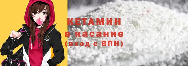 трава Новозыбков