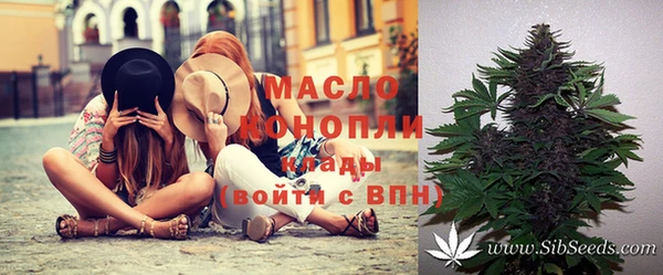 молекула духа Алексин