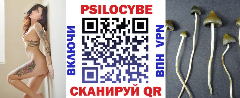 Псилоцибиновые грибы Magic Shrooms  Абакан 
