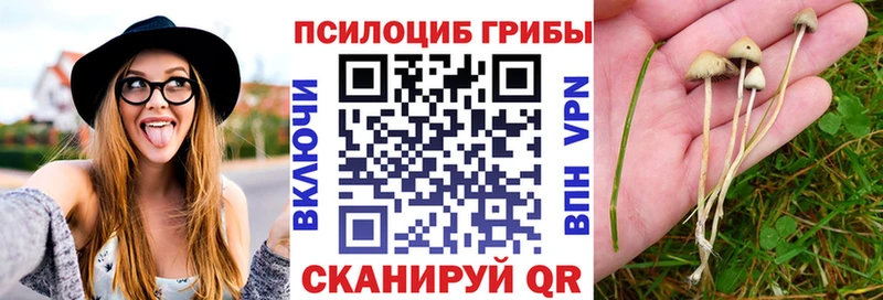 Псилоцибиновые грибы мухоморы Абакан